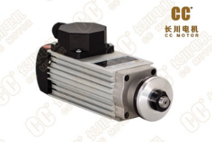 直流伺服電機(jī)是什么？